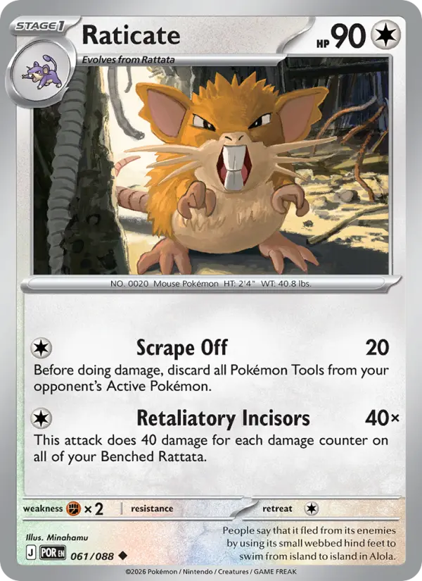 Raticate #61 (Perfect Order)