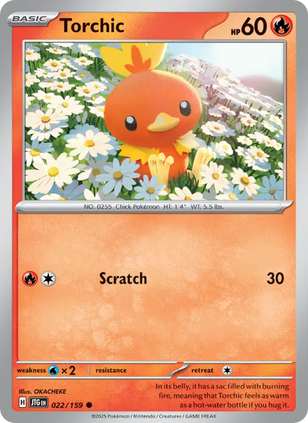 Torchic #22 (Journey Together)