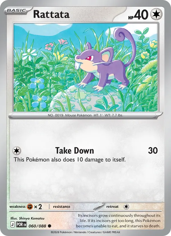 Rattata #60 (Perfect Order)
